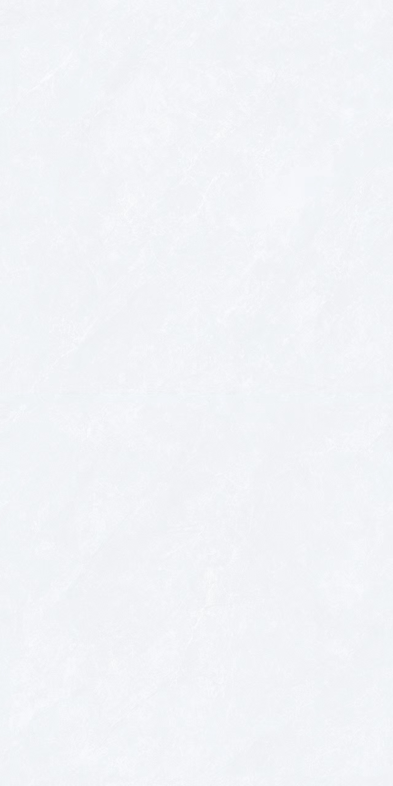 通体大板600x1200 WF12002